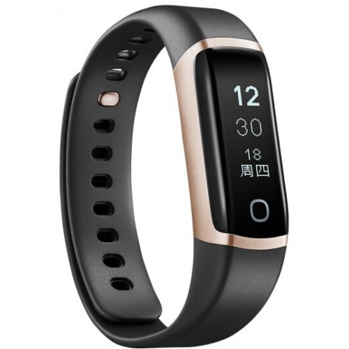 Lifesense Band 2S (Gold Black)